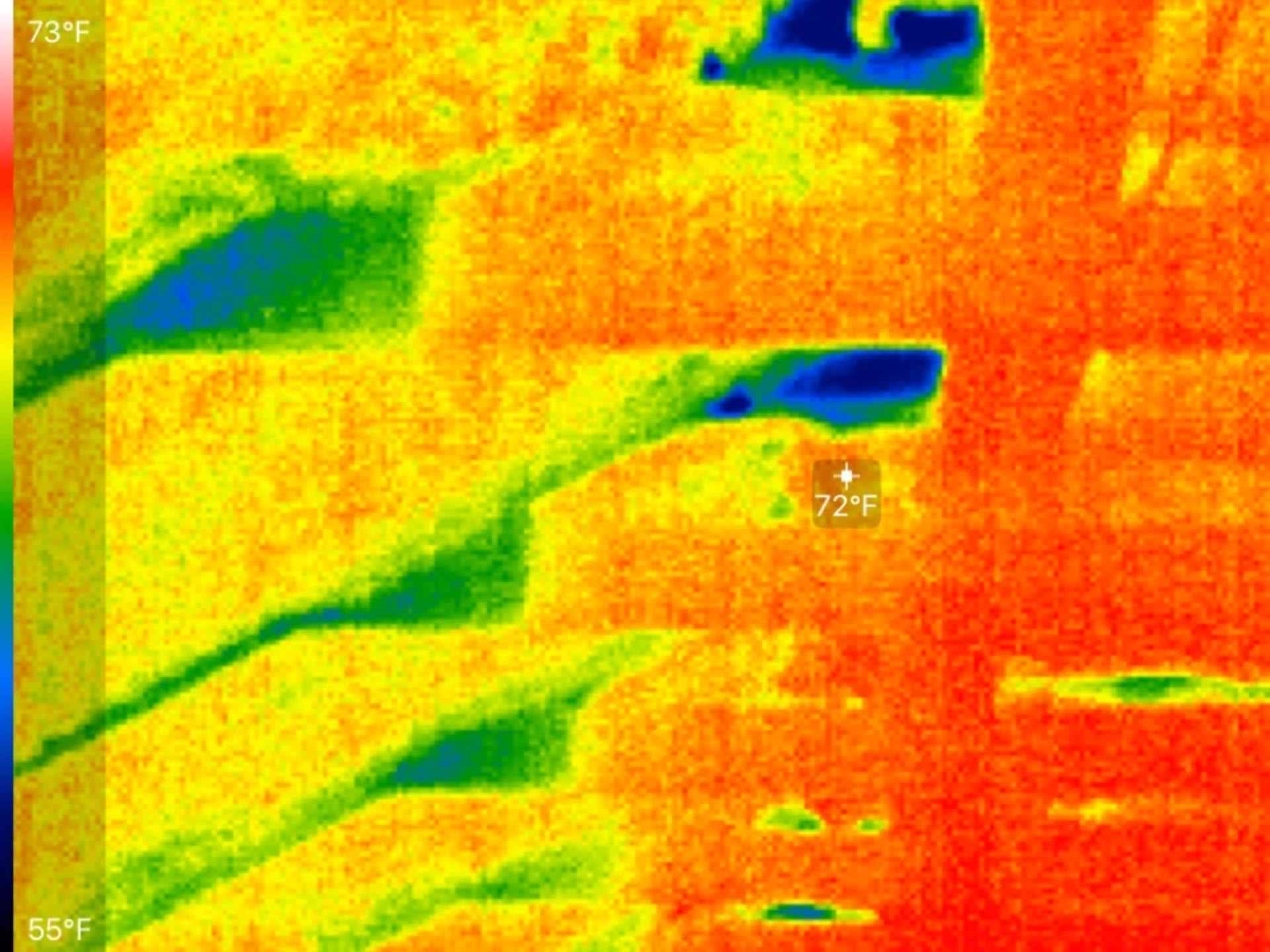 Thermal image 2